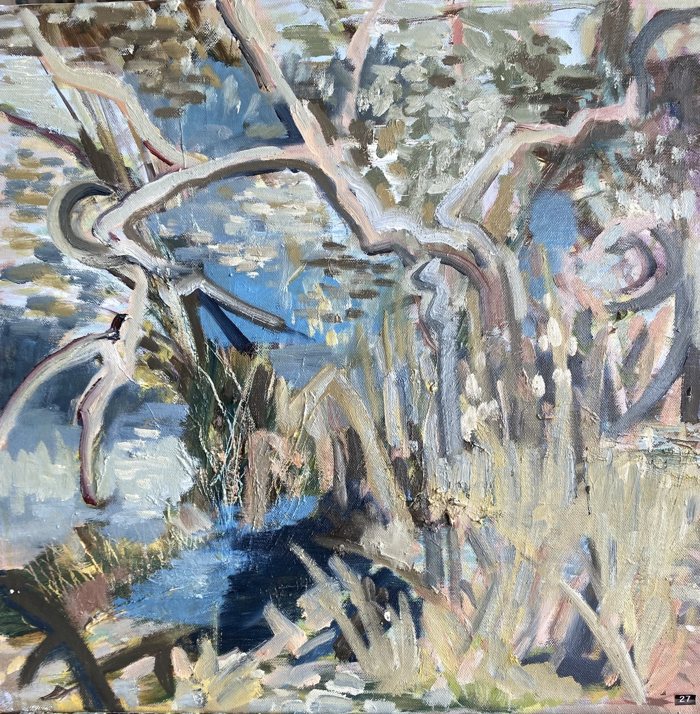 Around the Dam # 12