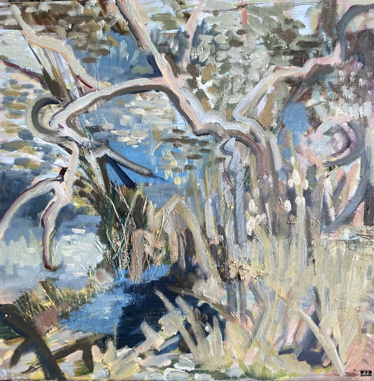 Around the Dam # 12