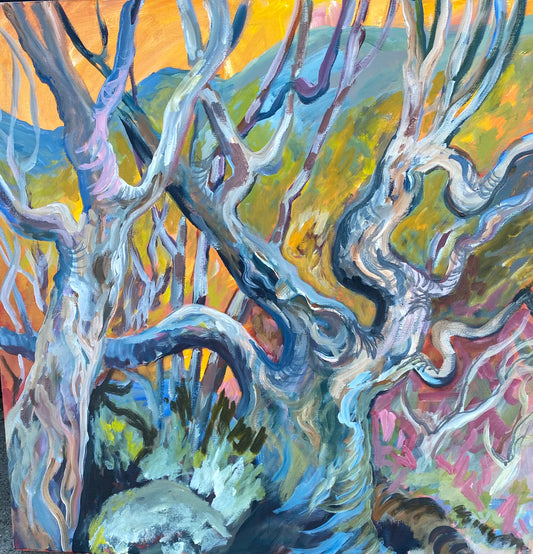 Snow Gums